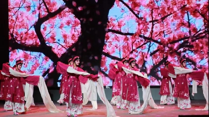 “永远跟党走”艺术学校承办市直文旅系统文艺汇演