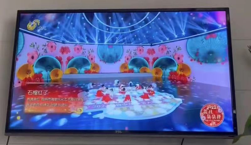 我校教师歌曲新作在央视和省视展播