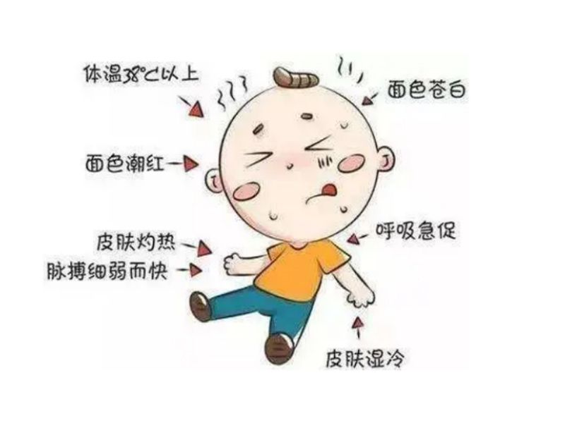 山东省菏泽艺术学校 夏日防暑指南：守护健康，清凉一夏